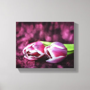 Två rosa tulpaner canvastryck