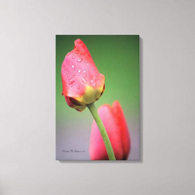 Två rosa tulpaner Canvastryck (Framsida)