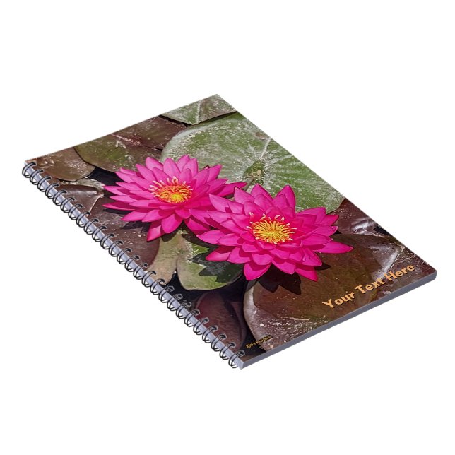Två Rosa Vatten Lilies Anteckningsbok (Högra Sidan)