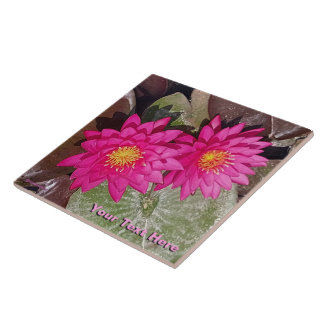 Två Rosa Vatten Lilies Kakelplatta