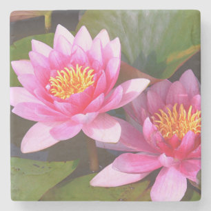 ’TVÅ ROSA VATTEN LILIES’ UNDERLÄGG STEN