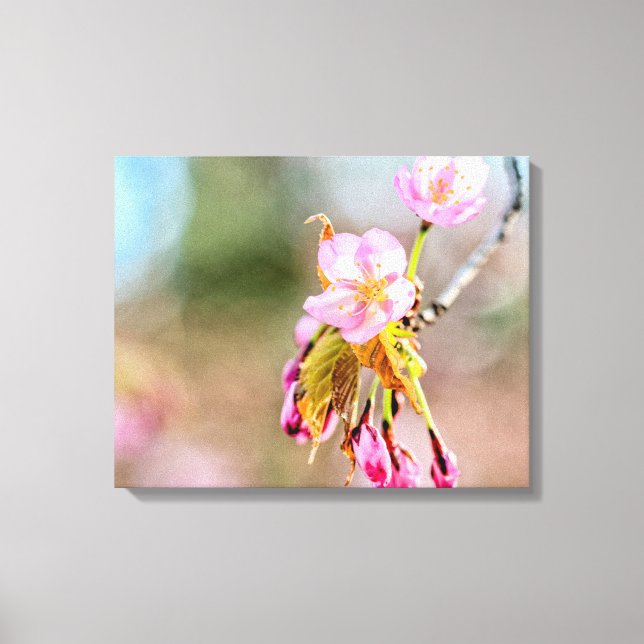 Två Sakura-blommor på en tipp i Vår Canvastryck (Framsida)