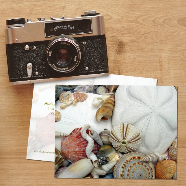 Två Sand Dollars Tom Kort (Skapare uppladdad)