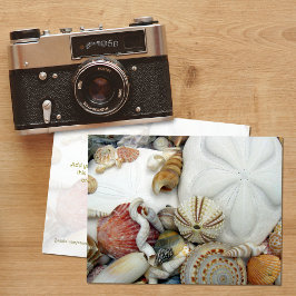 Två sanddollar Blank vykort