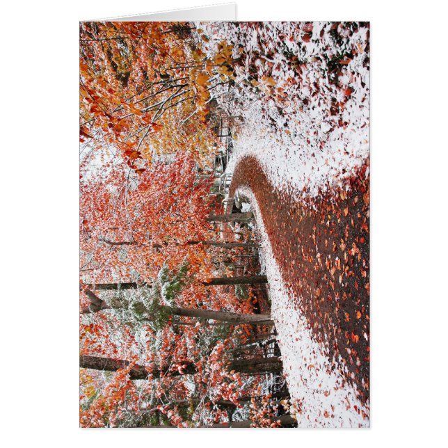 Två säsonger hälsningskort (Framsidan)