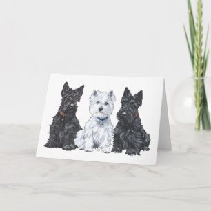 Två Scotties och en Westie Kort