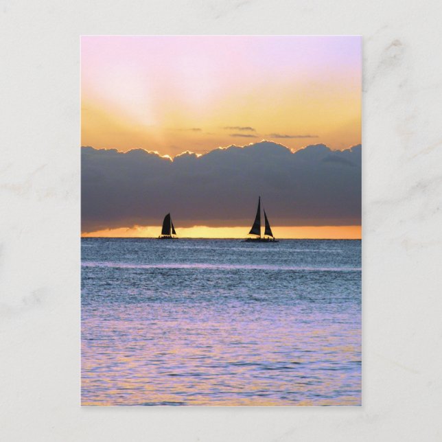 Två segelbåtar i Waikiki Sunset Vykort (Framsida)