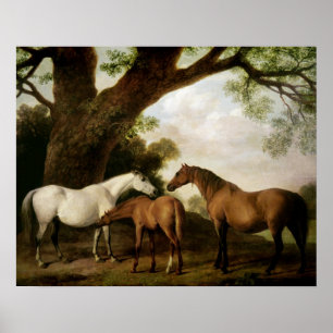 Två Shafto Mares och en Foal, 1774 Poster