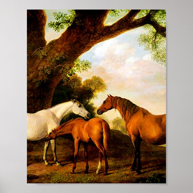 Två Shafto Mares och George Stubbs Foal Poster (Framsidan)