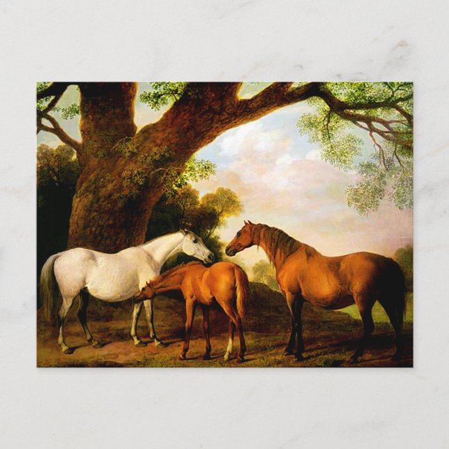 Två Shafto-ston och en föl av George Stubbs Vykort (Framsida)
