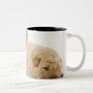 Två Shar Pei valpar som sovar, skjuten studio Två-Tonad Mugg