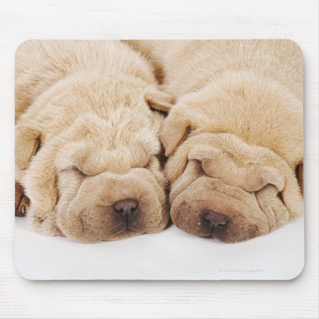 Två Shar Pei-valpar som sover Musmatta (Framsidan)