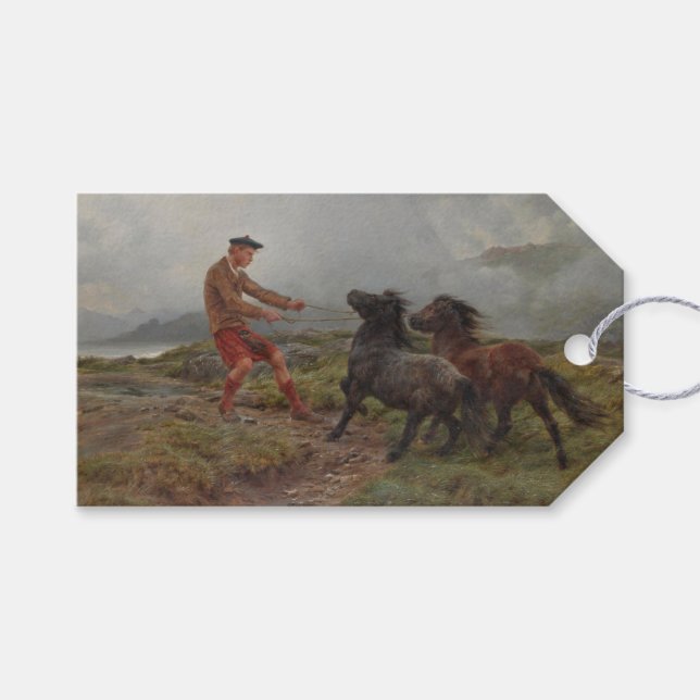 Två Shetland Ponies in a Misty Scottish Landcape Presentetikett (Framsidan (Horisontell))