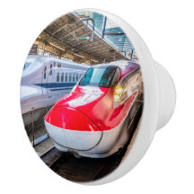 Två Shinkansen vid Tokyo Station