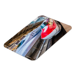 Två Shinkansen vid Tokyo Station Magnet