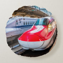 Två Shinkansen vid Tokyo Station