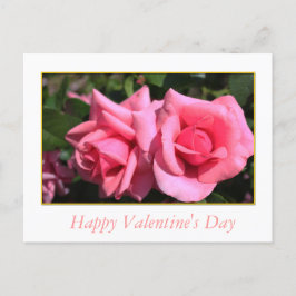 Två shock rosa blommor Alla hjärtans dag Helg Vykort