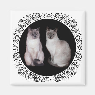 Två siameser katter magnet