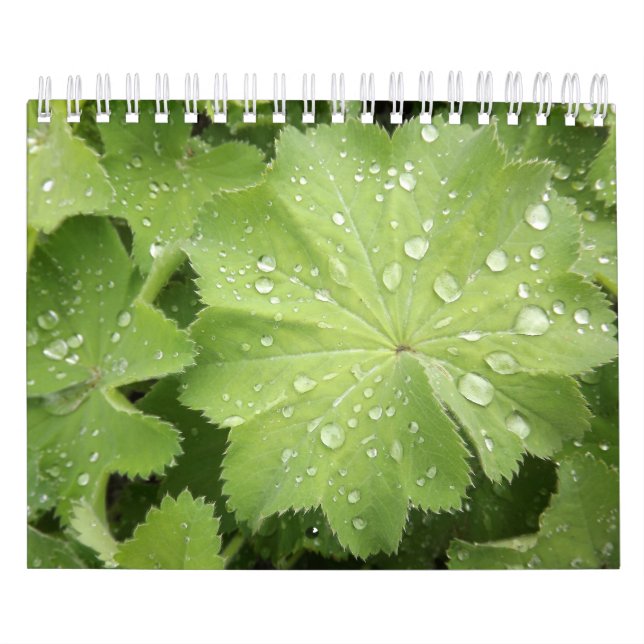 Två sida som är liten, 7" x11", vitkalendern, kalender (Omslag)