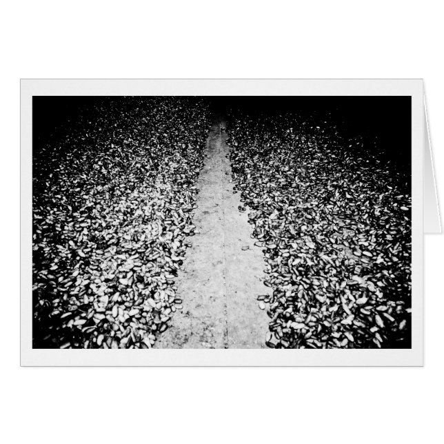 två sidor av kakao hälsningskort (Framsidan Horizontal)