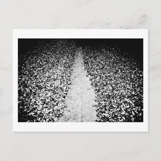 två sidor av kakao vykort (Framsida)