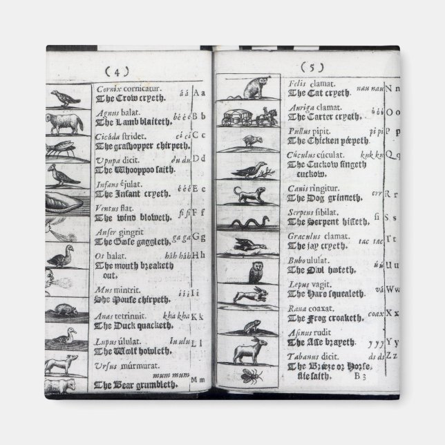 Två sidor från "Orbis Sensualium Pictus" Magnet (Framsidan)