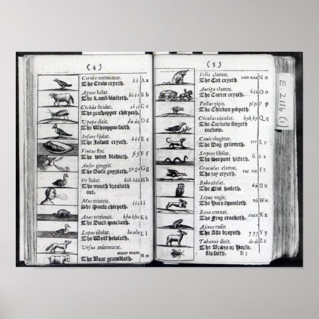 Två sidor från "Orbis Sensualium Pictus" Poster (Framsidan)