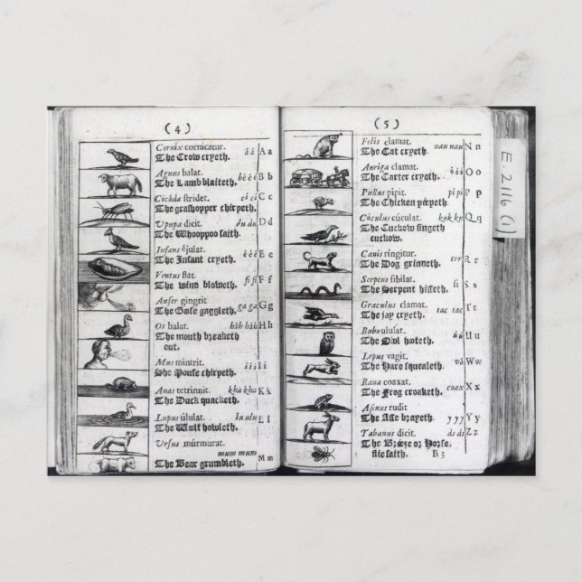 Två sidor från "Orbis Sensualium Pictus" Vykort (Framsida)