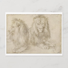 Två sittande Lejon av Albrecht Durer Vykort