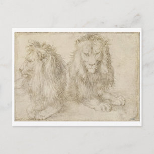 Två sittande Lejon av Albrecht Durer Vykort