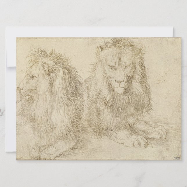 Två sittande Lejon (Vilda djur) (Albrecht Durer) Kort (Framsida)