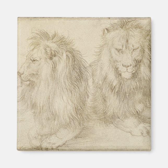Två sittande Lejon (Vilda djur) (Albrecht Durer) Magnet (Framsidan)