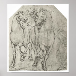 Två skicklig ryttare, Leonardo Da Vinci Poster