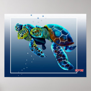 Två sköldpaddor poster