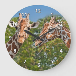 Två skvallra giraff stor klocka
