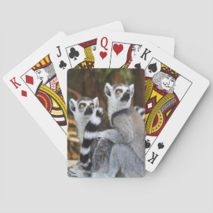 Två små lemurus casinokort