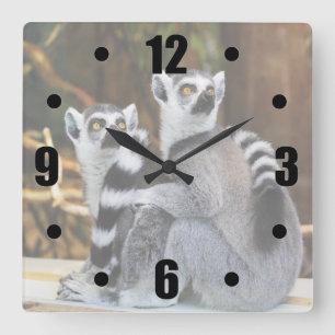 Två små lemurus fyrkantig klocka