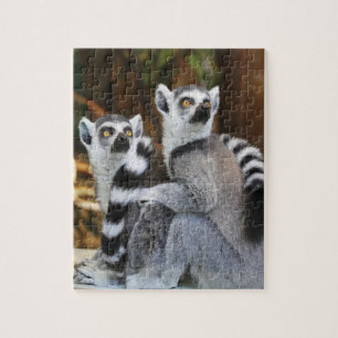 Två små lemurus pussel