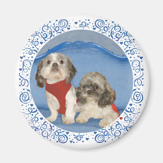 Två små Shih Tzu räddningshundar Magnet (Framsidan)