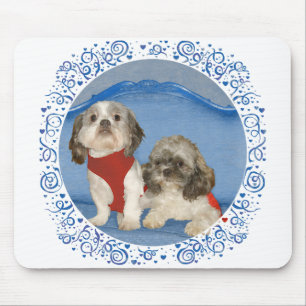 Två små Shih Tzu räddningshundar Musmatta