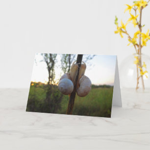 Två Snigel på en Stem Kort