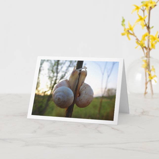 Två Sniglar på ett styrkort Kort (Gul blomma)