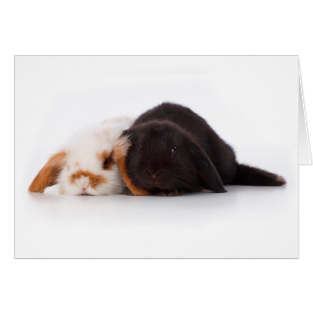 Två söta baby bunnies hälsningskort (Framsidan Horizontal)