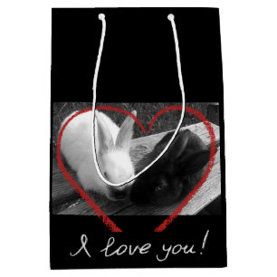 Två söta kaniner med hjärta. Motståndare lockas