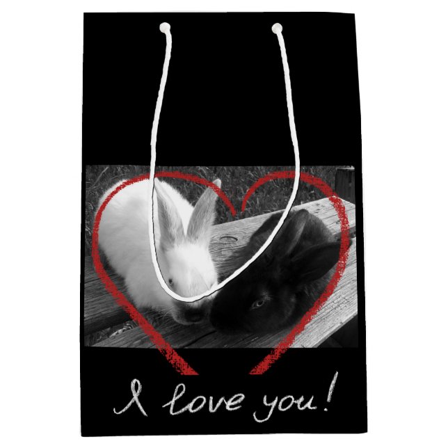 Två söta kaniner med hjärta. Motståndare lockas (Framsidan)