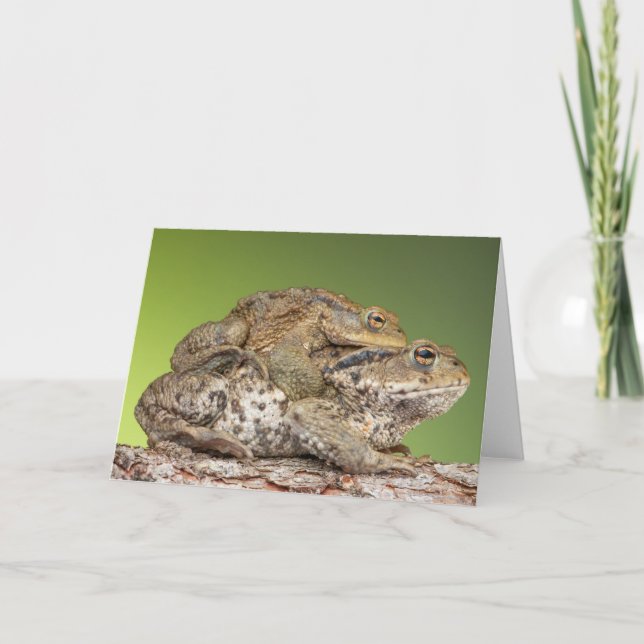 Två söta paddor kort (Framsida)