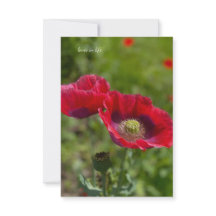 Två Sötter Opium Poppies