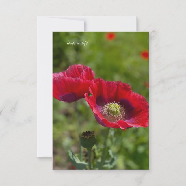 Två Sötter Opium Poppies Anteckningskort (Framsida)