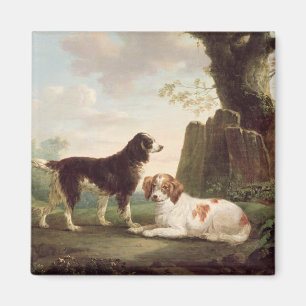 Två spaniels i en landskap magnet