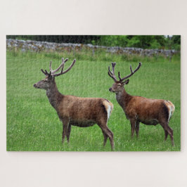 Två Stags vid Loch Rannoch, Skottland Pussel